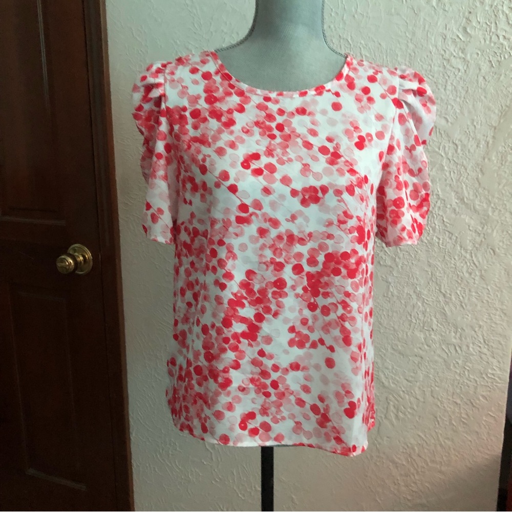 ⛔️3/$15 Floral Chiffon blouse